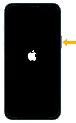 iPhone 13 Pro Repair