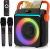 Portable Karaoke Machine with 2 Wireless Mics