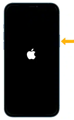 iphone 11 Repair